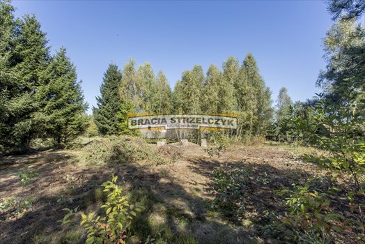 Działka budowlana na sprzedaż Płatków 3 900m2 Foto 9