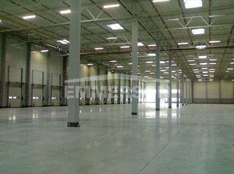 Lokal użytkowy na wynajem Chorzów, Niedźwiedziniec 450m2 Foto 5