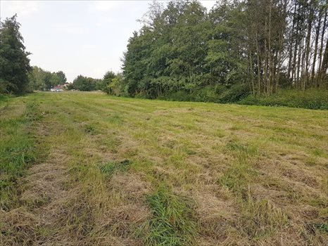Działka budowlana na sprzedaż Słupno 7 100m2 Foto 6