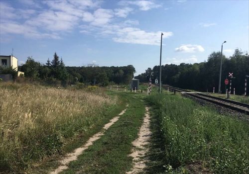 Działka budowlana na sprzedaż Dębienko 915m2 Foto 5