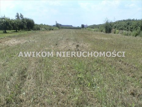 Działka budowlana na sprzedaż Skierniewice 5 250m2 Foto 1