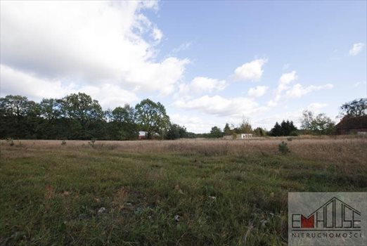 Działka budowlana na sprzedaż Radecz 1 000m2 Foto 1
