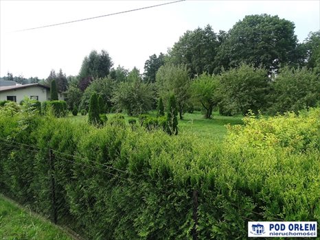 Działka inna na sprzedaż Bielsko-Biała, Wapienica 3 010m2 Foto 9