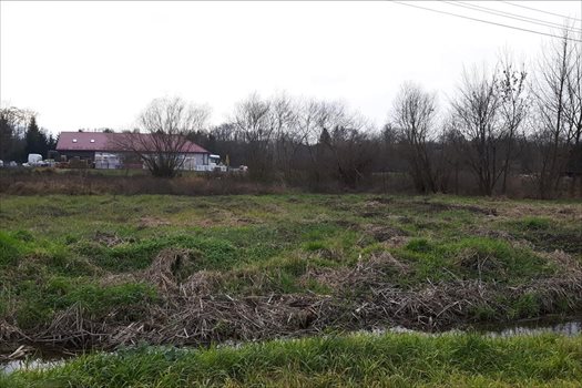 Działka inna na sprzedaż Lutomiersk, Lutomiersk 1 500m2 Foto 2