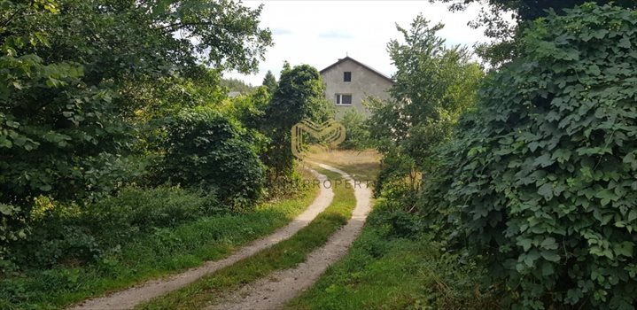 Działka budowlana na sprzedaż Skuszew, Przejazdowa 1 453m2 Foto 4