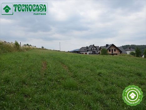 Działka budowlana na sprzedaż Droginia 3 000m2 Foto 2