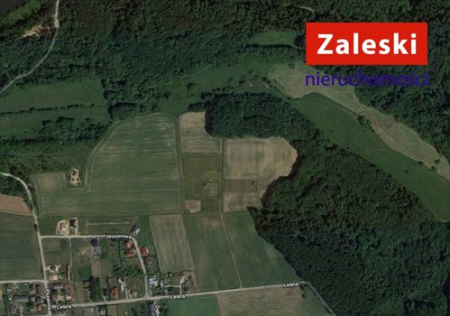 Działka inna na sprzedaż Osłonino, Leśna 3 272m2 Foto 1