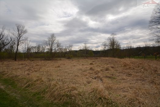 Działka rekreacyjna na sprzedaż Nowe Sady 2 900m2 Foto 2