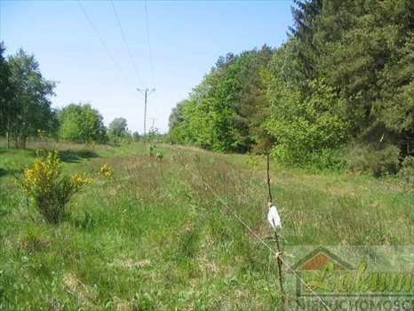 Działka rolna na sprzedaż Łukęcin 1 000m2 Foto 1