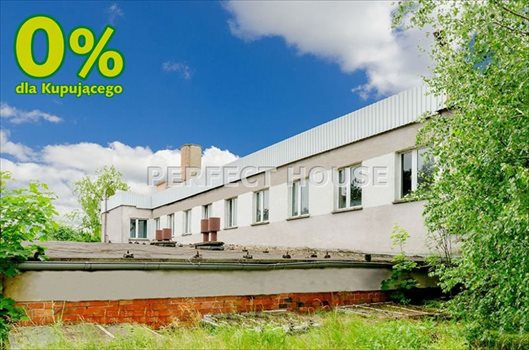 Lokal użytkowy na sprzedaż Zbrudzewo 1 766m2 Foto 5
