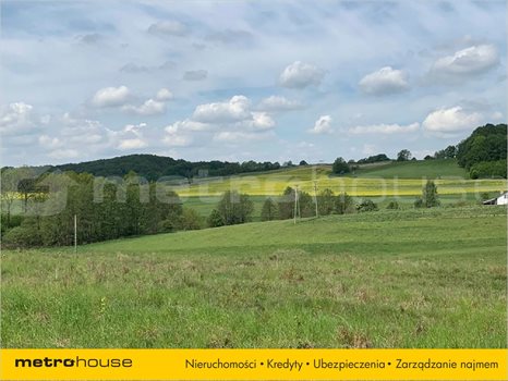 Działka inna na sprzedaż Trzepowo, Przywidz 1 192m2 Foto 2