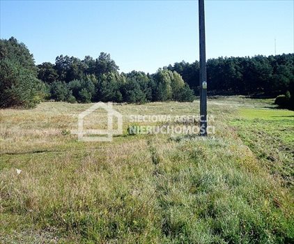 Działka budowlana na sprzedaż Dobrzewino 1 050m2 Foto 1