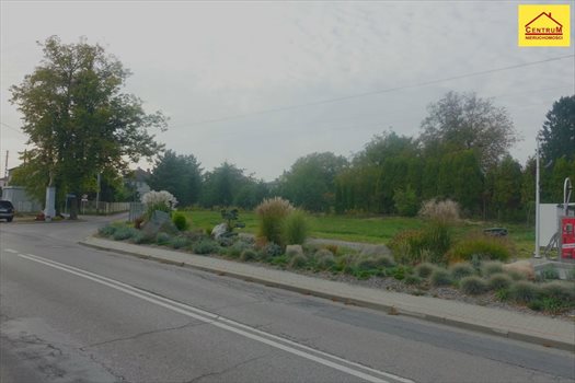 Działka inna pod dzierżawę Pszów 1 003m2 Foto 2