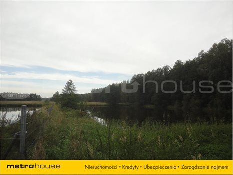Działka siedliskowa na sprzedaż Luciny, Śrem 10 039m2 Foto 4