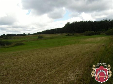Działka budowlana na sprzedaż Gdynia, Starochwaszczyńska 761m2 Foto 2
