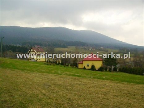 Działka budowlana na sprzedaż Dobra 4 200m2 Foto 2