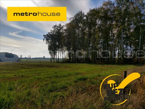 Działka inna na sprzedaż Czyżemin, Dłutów 1 359m2 Foto 1