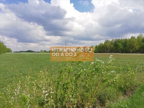 Działka siedliskowa na sprzedaż Bocian 10 000m2 Foto 2