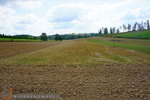 Działka budowlana na sprzedaż Masłomiąca 1 614m2 Foto 4