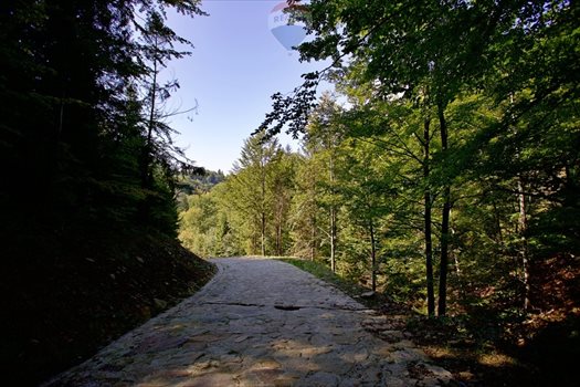 Działka inwestycyjna na sprzedaż Międzybrodzie Żywieckie 5 596m2 Foto 8