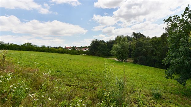 Działka rolna na sprzedaż Grębynice 51m2 Foto 3