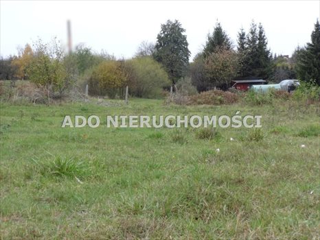 Działka inna na sprzedaż Gliwice 904m2 Foto 4
