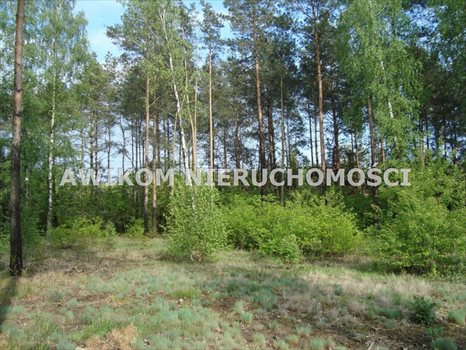 Działka rekreacyjna na sprzedaż Musuły 1 600m2 Foto 3