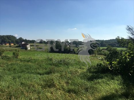 Działka inna na sprzedaż Dębina 2 500m2 Foto 1
