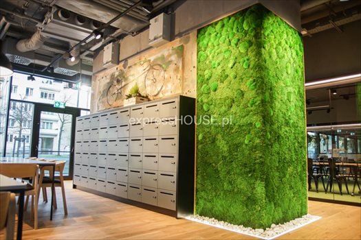 Lokal użytkowy na wynajem Poznań, Centrum, Królowej Jadwigi 200m2 Foto 11