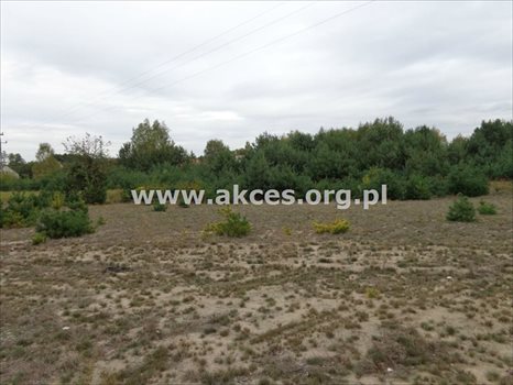 Działka budowlana na sprzedaż Prace Duże 1 445m2 Foto 3