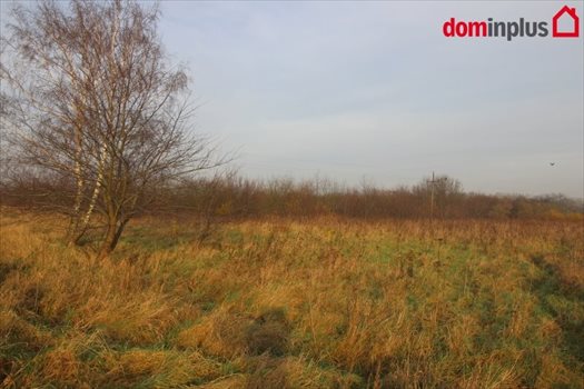Działka inna na sprzedaż Mała Nieszawka 4 900m2 Foto 1