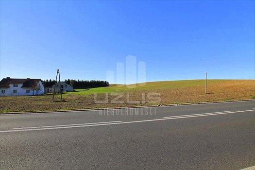 Działka inna na sprzedaż Janowo, Pelplińska 3 000m2 Foto 10