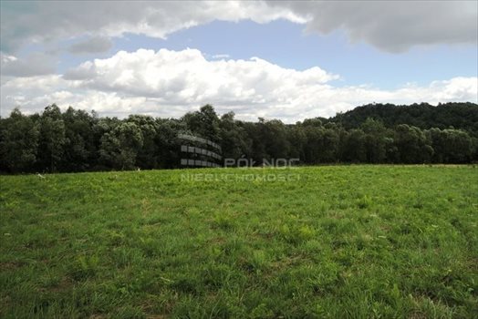 Działka budowlana na sprzedaż Włosań, Spacerowa 1 200m2 Foto 6