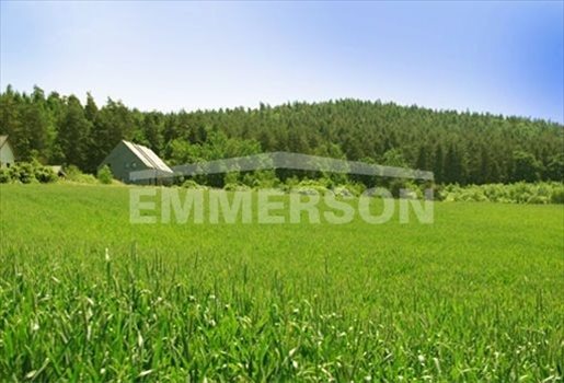 Działka budowlana na sprzedaż Sulistrowice, Sulistrowice 981m2 Foto 1