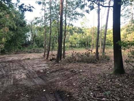 Działka leśna na sprzedaż Wiązowna 5 700m2 Foto 2