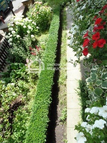 Mieszkanie dwupokojowe na sprzedaż Sopot, Górny, Armii Krajowej 75m2 Foto 10