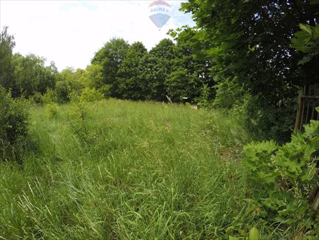 Działka rekreacyjna na sprzedaż Zarzęcin 300m2 Foto 7