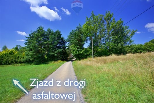 Działka budowlana na sprzedaż Roztropice 3 500m2 Foto 9