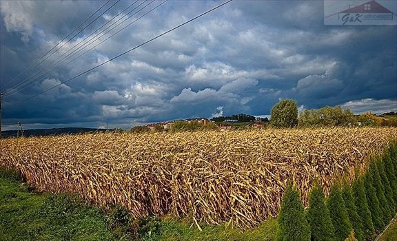 Działka budowlana na sprzedaż Ostrów 2 700m2 Foto 4
