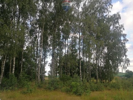 Działka budowlana na sprzedaż Dąbrówka-Strumiany 1 972m2 Foto 5