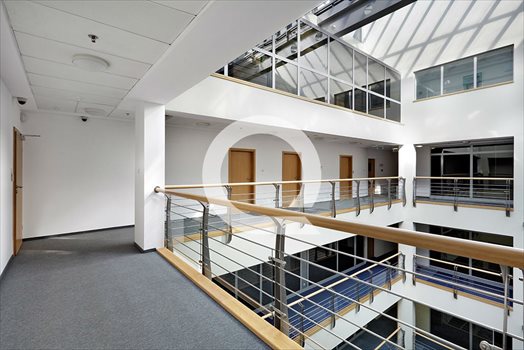 Lokal użytkowy na wynajem Gdynia, Śródmieście 245m2 Foto 11