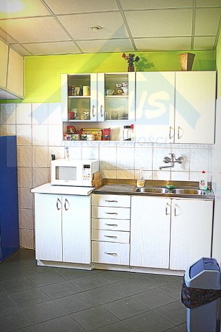 Lokal użytkowy na sprzedaż Nowy Konik 2 300m2 Foto 10