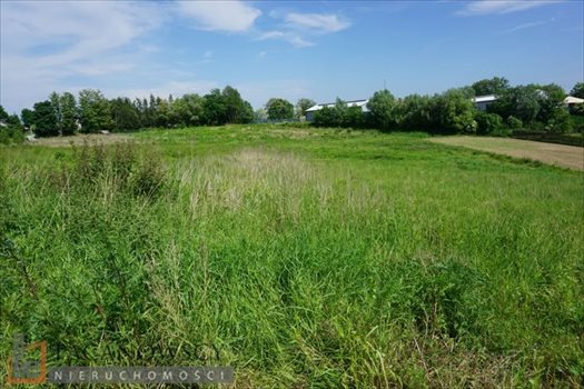 Działka budowlana na sprzedaż Masłomiąca 1 000m2 Foto 10