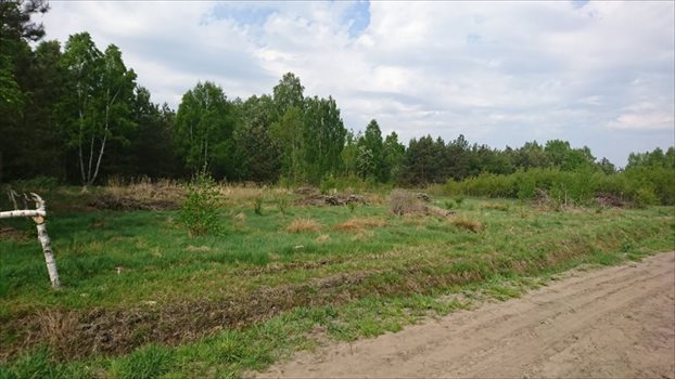 Działka budowlana na sprzedaż Stanisławów, Tartaczna 1 407m2 Foto 4