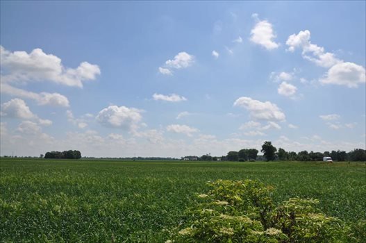 Działka budowlana na sprzedaż Rogów Sobócki, Szkolna 1 731m2 Foto 8