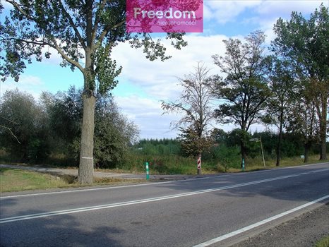 Działka budowlana na sprzedaż Cisy 1 511m2 Foto 3