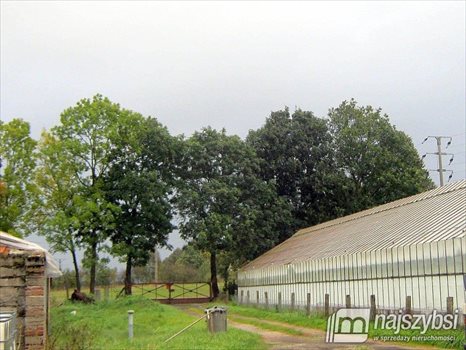 Dom na sprzedaż Płoty, obrzeża Płot 290m2 Foto 11