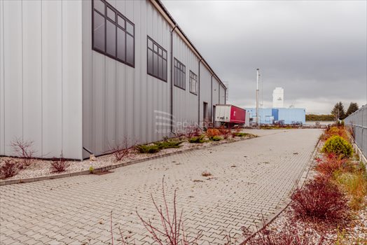 Lokal użytkowy na wynajem Suwałki 2 780m2 Foto 11