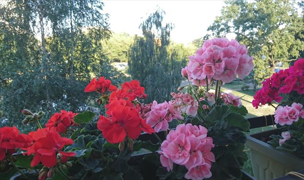 Mieszkanie czteropokojowe na sprzedaż Pruszków, Plantowa 72m2 Foto 7