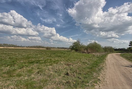 Działka rolna na sprzedaż Kołczewo 22 223m2 Foto 6